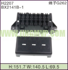 JP-H2207